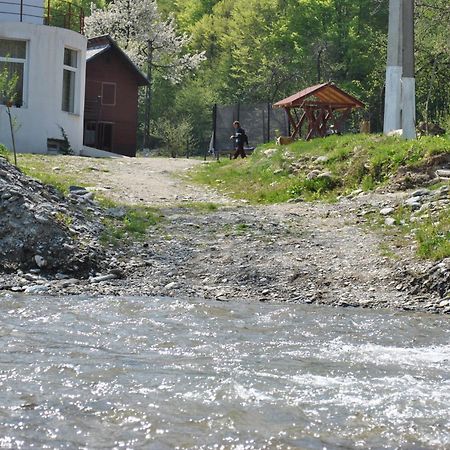 Pension Belmonte Sîmbăta de Sus 外观 照片